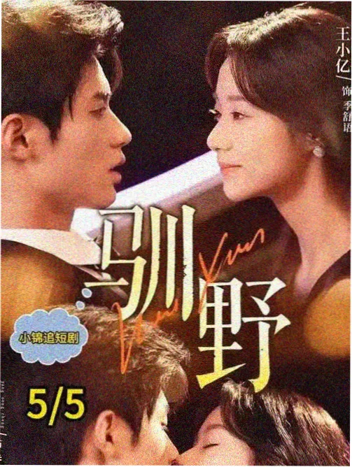 免费追剧《雾港来信》剧集封面